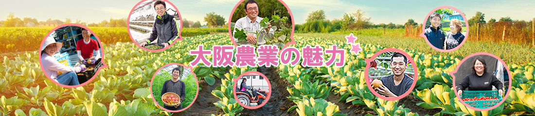 大阪農業の魅力