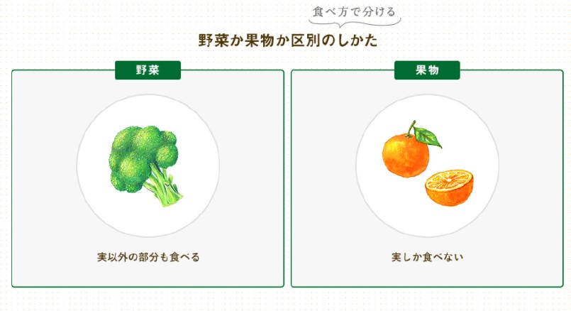 野菜と果物の違いってなに？どっちか論争に決着はつくのか！？ 大阪で農業っておもろいやん