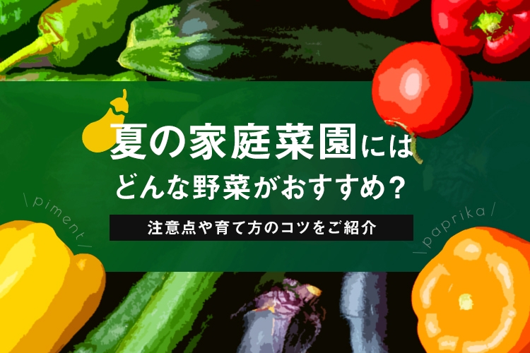 家庭菜園を夏にスタートするならどんな野菜がおすすめ 注意点や育て方のコツ 大阪で農業っておもろいやん