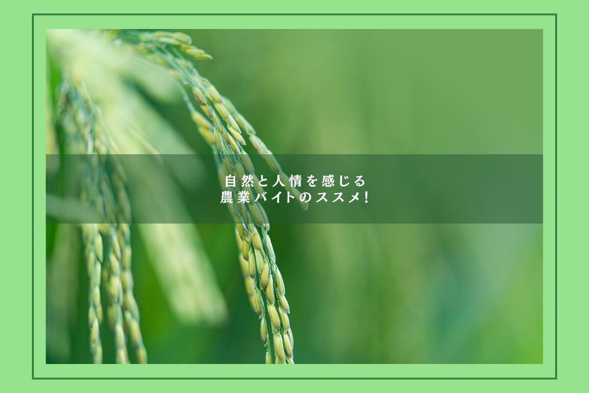 ブログ記事のアイキャッチ画像