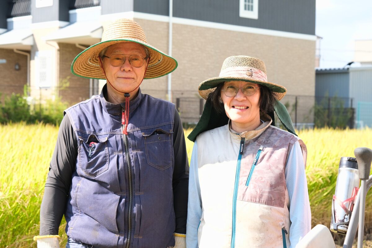 都市型農業を継承した夫婦、3回目の稲刈りに密着!