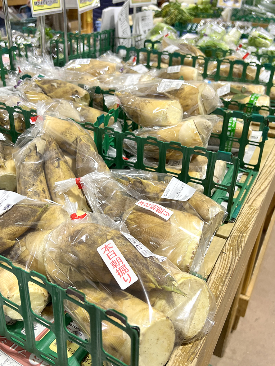 大枝産タケノコK様確認用 JAいずみの］旬の味覚、タケノコ出荷始まる！ - 大阪で農業って
