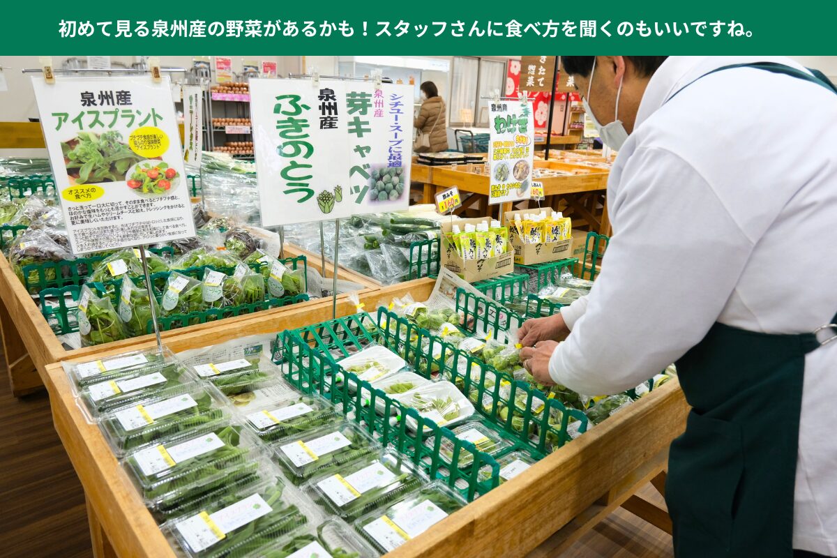 こーたり~な-スタッフさんの仕事風景