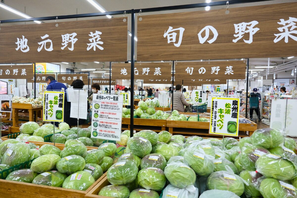 こーたり~な-キャベツコーナー