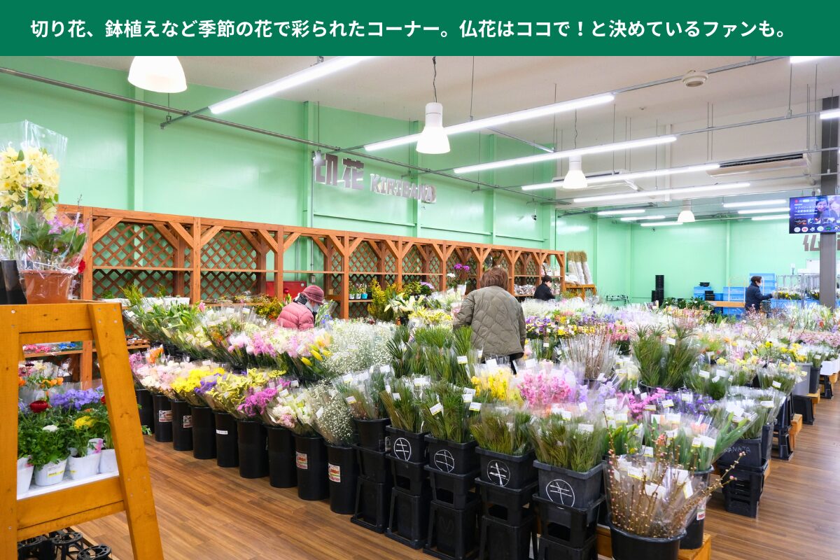 こーたり~な-お花売り場の様子